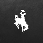 Smackover-Norphlet SD icon