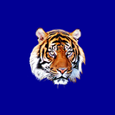 Stringtown PS APK