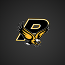 PURDY R-II SD-APK