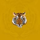 Talihina Tigers-APK