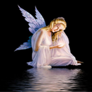Anges Wallpapers APK