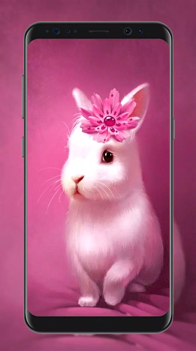Cute Rabbit Wallpapers APK for Android Download
