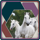 HexSaw - Horses APK