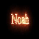 Noah APK