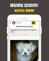 유머짤 Ekran Görüntüsü 2