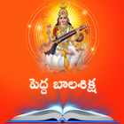 Pedda Balasiksha icon