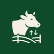 Gado Gestor icon