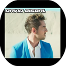 David Bisbal Mi Princesa Best Songs APK