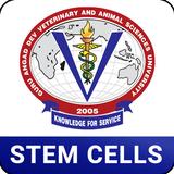 Stem Cells