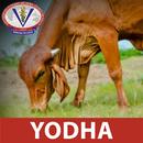 YODHA GADVASU APK