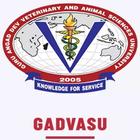 GADVASU Services ícone