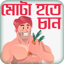 মোটা হওয়ার সহজ উপায় or Gain  APK