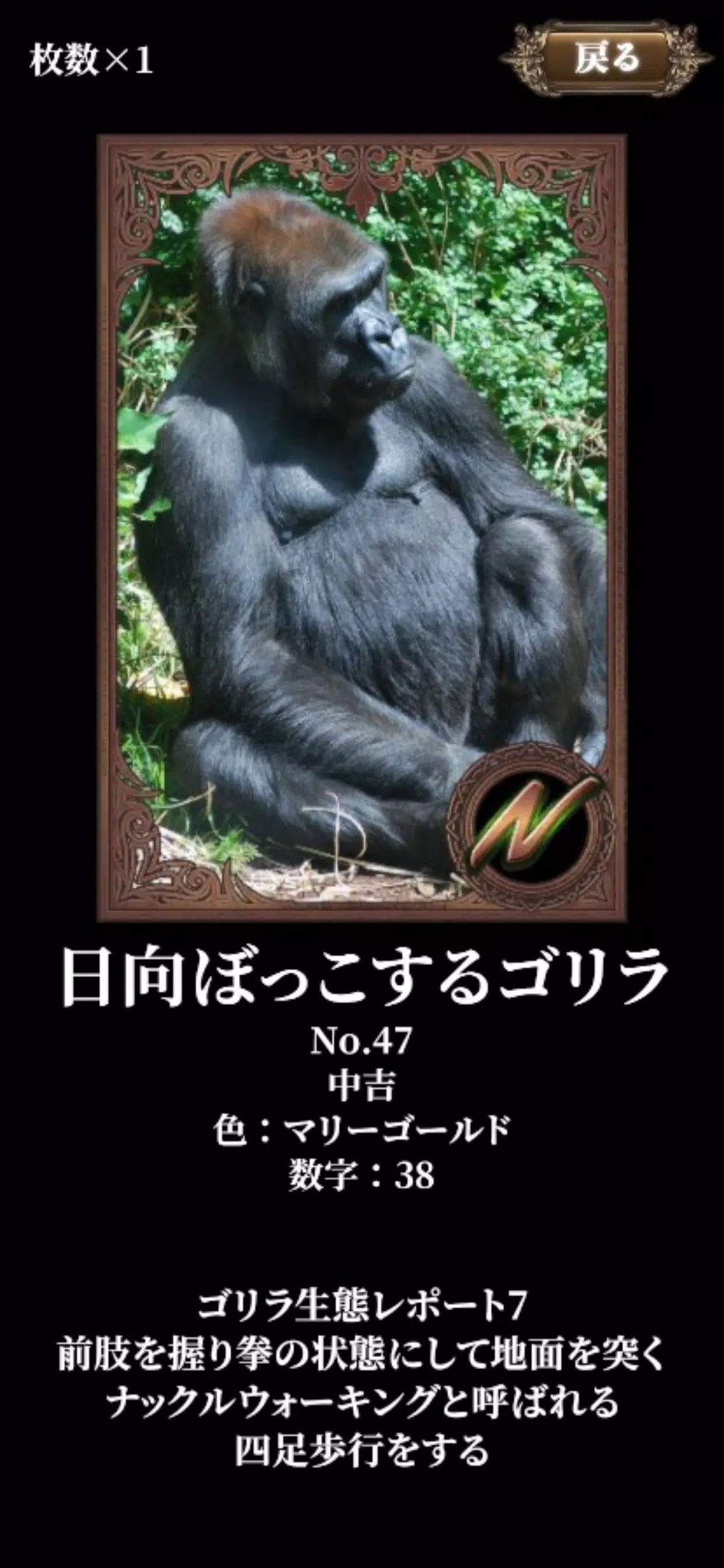 ゴリラアツメ ゴリラアツメ