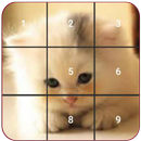 Cat puzzles Jigsaw, Slide 2048 APK
