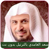 Saad Al Ghamdi Full Quran mp3 icône