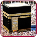 Islamic Arts Jigsaw Puzzle APK