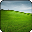 Field Wallpaper APK
