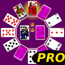 Clock Patience Solitaire Pro APK
