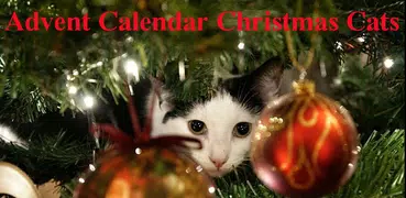 Advent Calendar Christmas Cats