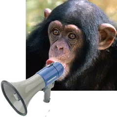 Zoo Sound Board XAPK download
