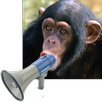Zoo Sound Board APK