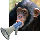 Zoo Sound Board APK