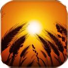 ikon Ladang gandum di latar belakan