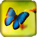 خلفيات متحركة للفراشات APK