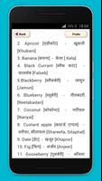 हिंदी to English Translation screenshot 1