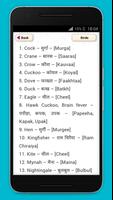 हिंदी to English Translation screenshot 2