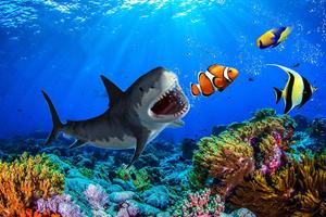 Angry Shark Attack Simulator 2019 تصوير الشاشة 3