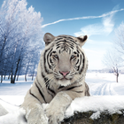 Wild Arctic Tiger Simulator 3D أيقونة