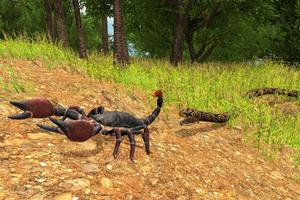 Scorpion Life Simulator 3D تصوير الشاشة 1