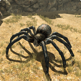 Spider Family Simulator