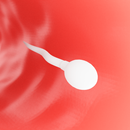 Sperm Games APK