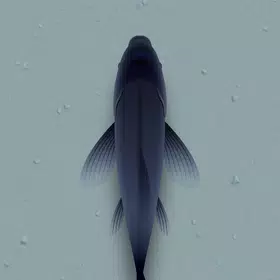 CAT ALONE 2 – Cat Toy