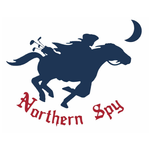 Northern Spy Golf Club icon