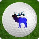 Allenmore Golf Course APK