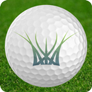 Blue Devil Golf Club APK