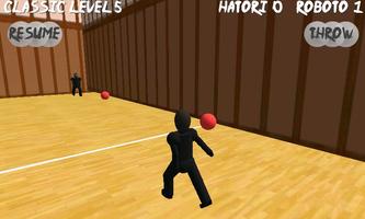 Ninja Ball 3D Affiche