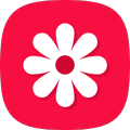 گالری - گالری عکس
