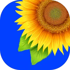 Baixar Gallery APK