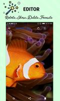 Mobile Phone Gallery for Videos, images & Data 截图 3