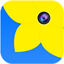 Gallery APK