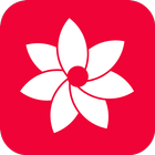 Gallery أيقونة