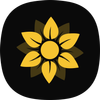 Gallery Pro: Photo Album Vault icon