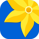 APK Gallery