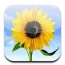 Gallery - Photo & Video Album APK
