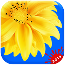 Gallery : Gallery 2022 APK