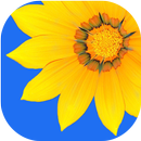 Gallery APK